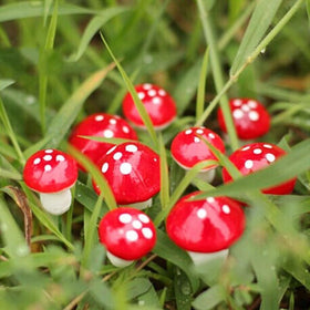 10Pcs 2cm Artificial Mini Mushroom Miniatures