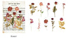 10Sheets/PACK Retro Flower Leaves PET Sticker Diary Planner Stickers