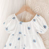 Sweet Blue Flowers Baby Girl Dress