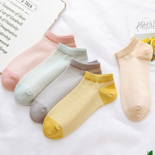 5 Pairs Of Women's Cotton Ankle Socks Fun Cute Casual Boat Sock Cotton