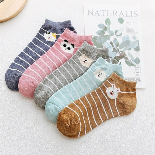 5 Pairs Of Women's Cotton Ankle Socks Fun Cute Casual Boat Sock Cotton