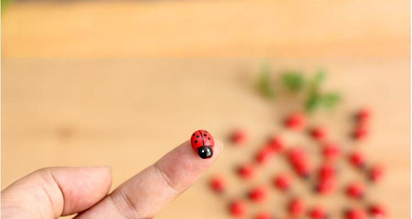 10pcs/lot Cute Mini Ladybugs Garden Miniatures Artificial