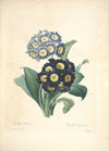 Cottagecore Art Flowers Watercolor Floral