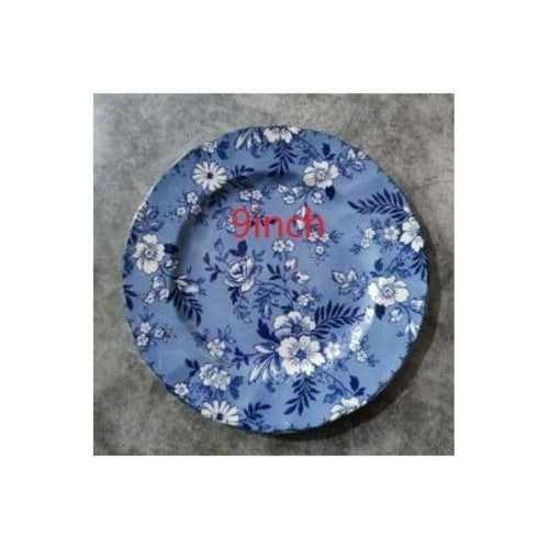 British Retro Blue and white porcelain tableware steak plate photo