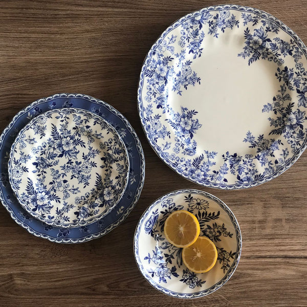 British Retro Blue and white porcelain tableware steak plate photo