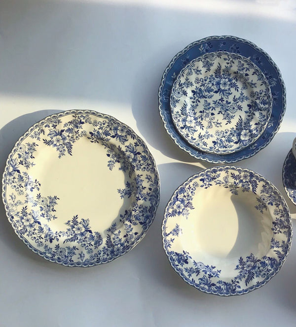 British Retro Blue and white porcelain tableware steak plate photo