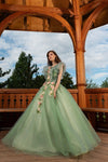 Green Quinceanera Dress Elegant V neck Party Prom Ball Gown Sleeveless