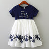 New Summer Baby Girls Princess Dress Embroidered Flower Elegant