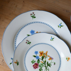 Old Porcelain Retro Blue Edge Floral 10 Inch Plate /8 Inch Deep