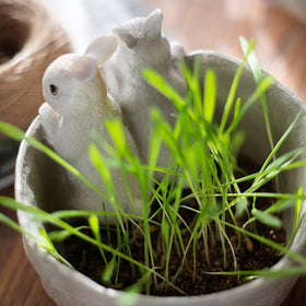 Pastoral cute pocket rabbit succulents flower pot animal sculpture