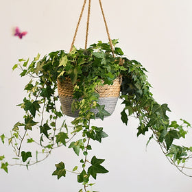 Straw Hanging Planter Basket