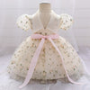 Toddler Baby Girl Dress Flower Dresses Baptism Girl Clothes Lace