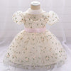 Toddler Baby Girl Dress Flower Dresses Baptism Girl Clothes Lace