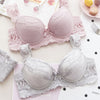 Pink Gray Push Up Cup B C Bra Sets