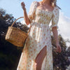 Picnic With Me Dress