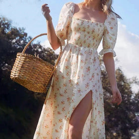 Picnic With Me Dress